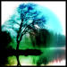 Graphics by Touch a Memory